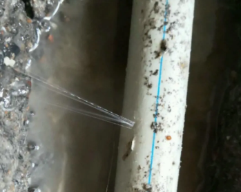 鹰潭市卫生间测漏水多少钱