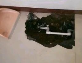 鹰潭市卫生间测漏水多少钱